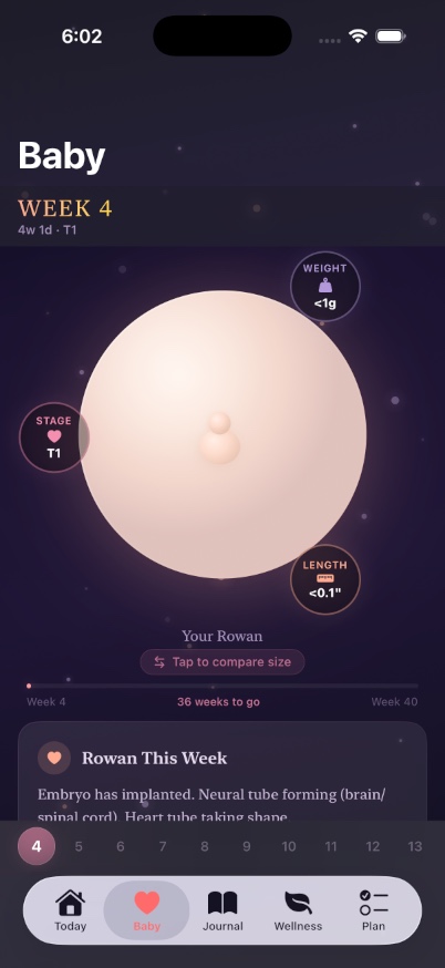 Baby development screen