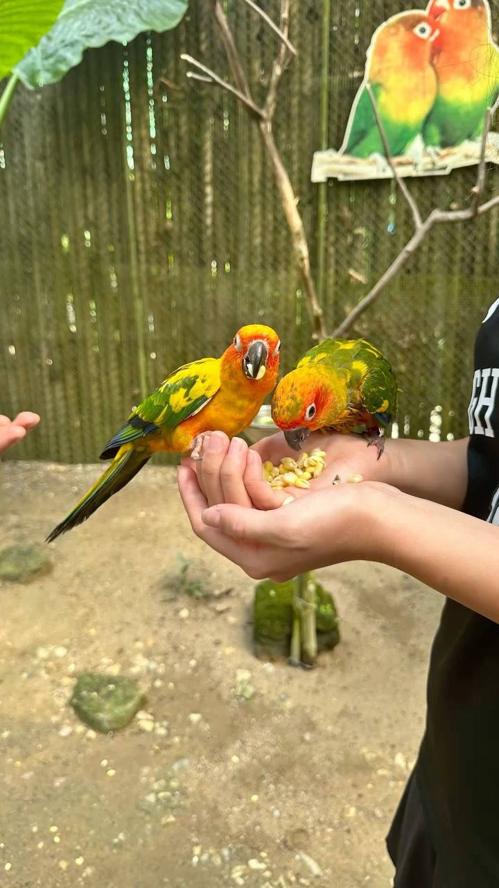 Экскурсия
