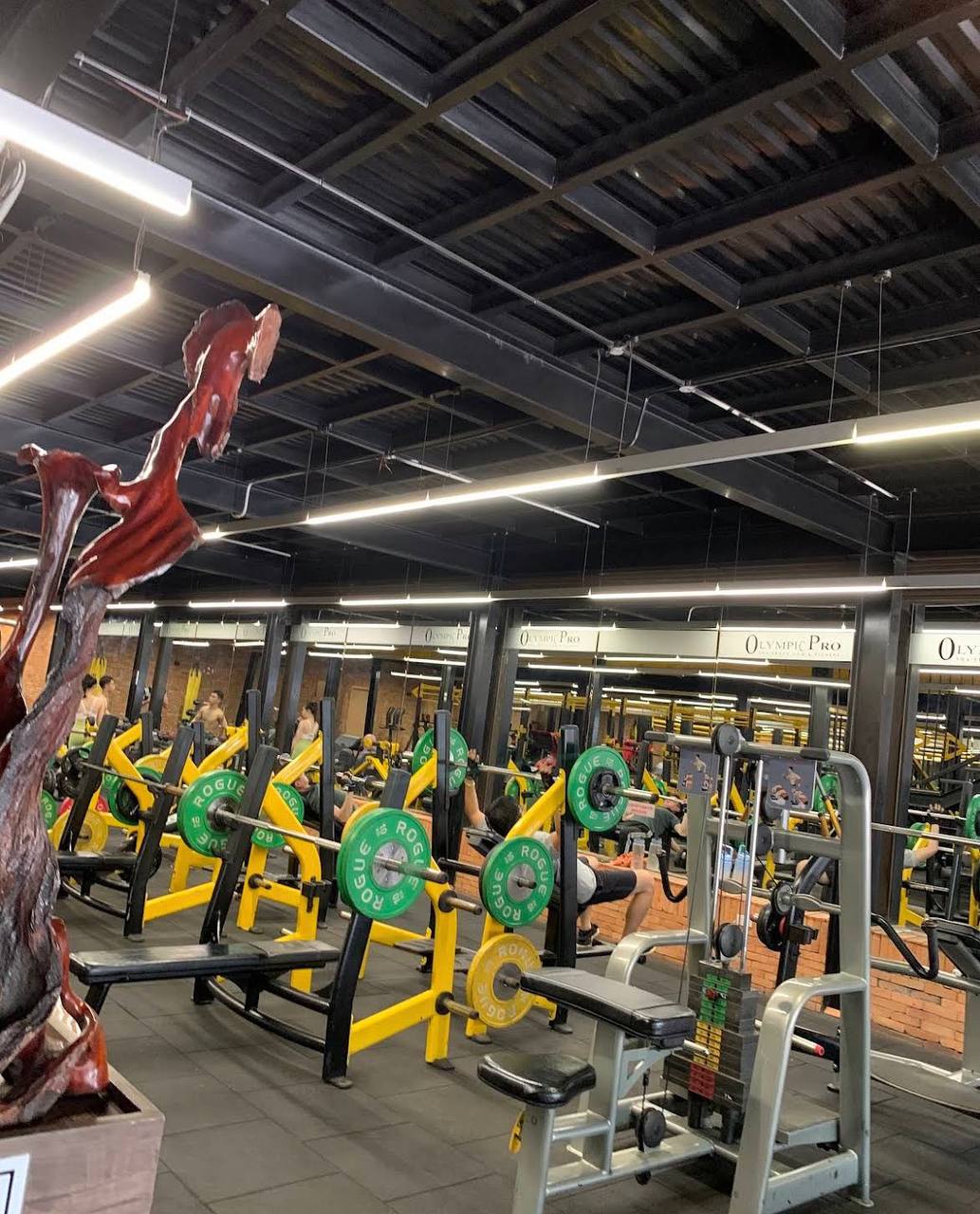 Olympic Gym & Fitness